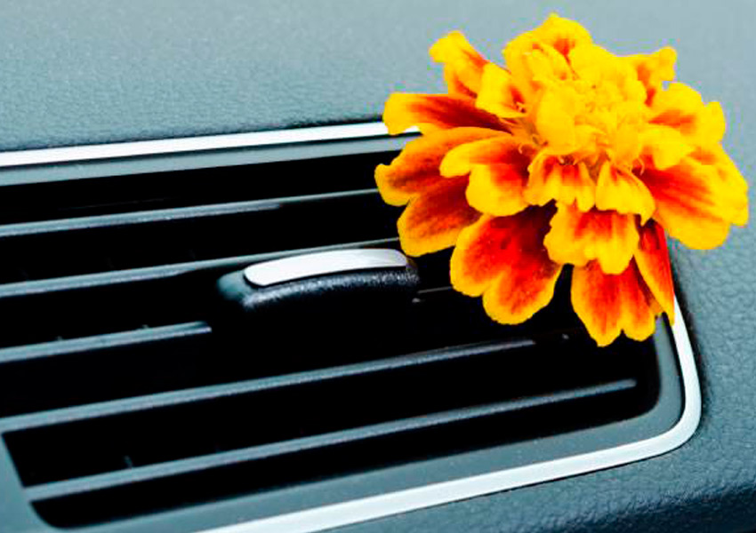 How to remove bad odors from your car